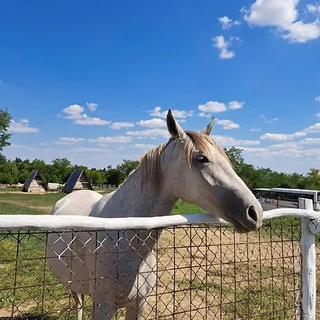 Apartament Fruskogorske Brvnare Velika Remeta