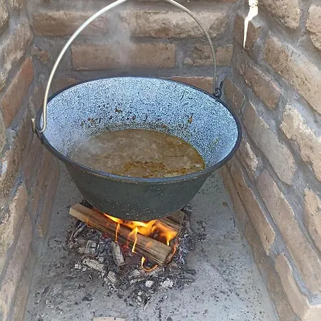 Fruskogorske Brvnare Apartament