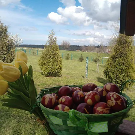 Fruskogorske Brvnare Apartament