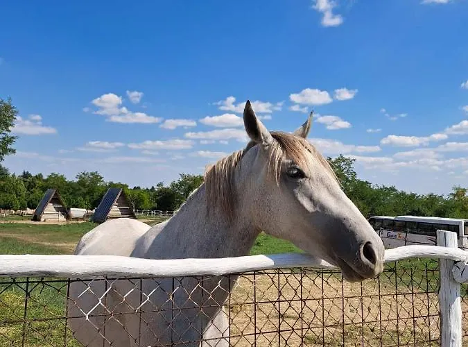 Apartment Fruskogorske Brvnare Velika Remeta