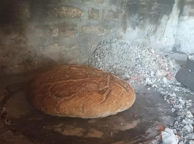 Fruskogorske Brvnare Apartment Velika Remeta