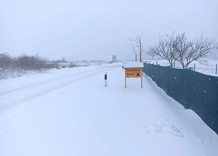 Fruskogorske Brvnare Apartment Velika Remeta