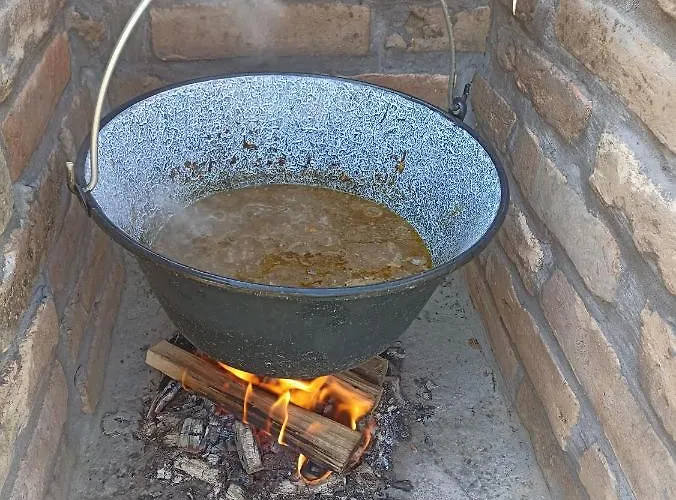 Fruskogorske Brvnare Apartment