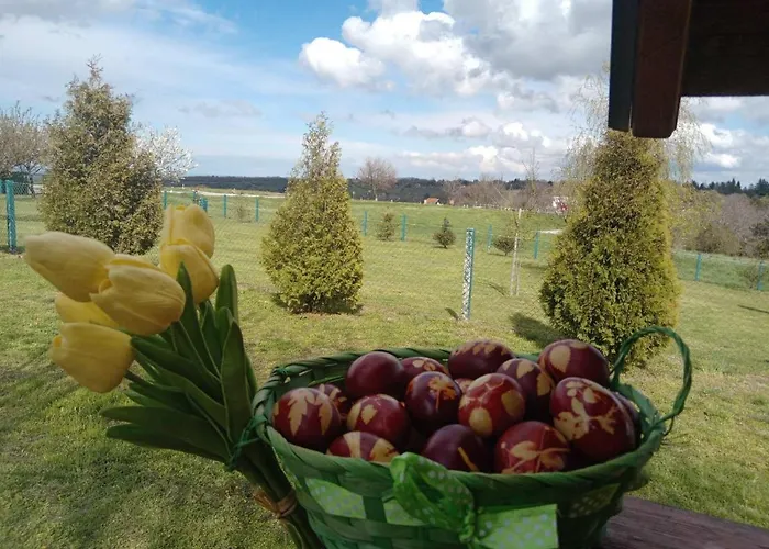 Fruskogorske Brvnare Apartment